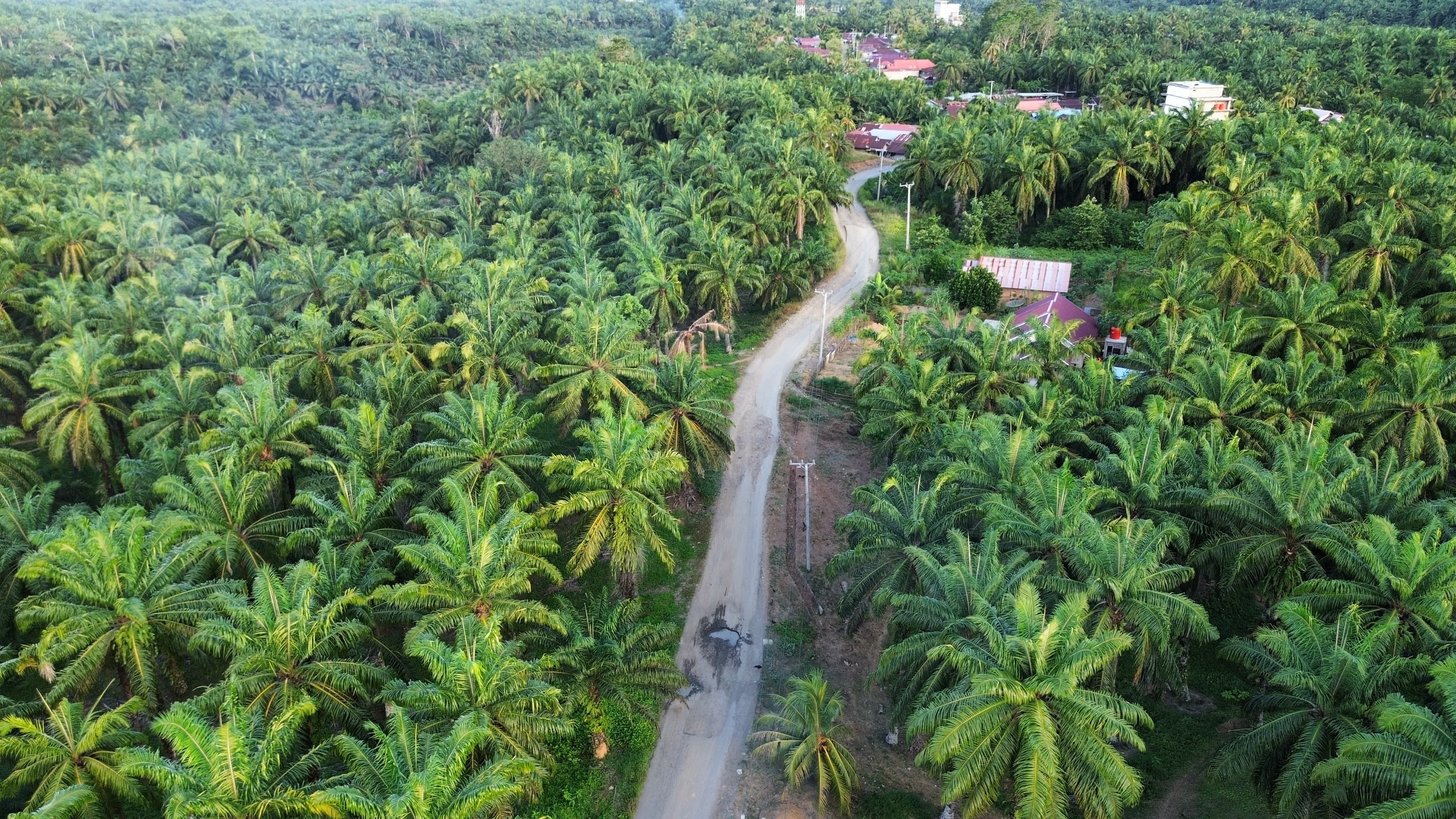 Berikut Jalan di Seluma yang Masuk Dalam Rencana Pembangunan