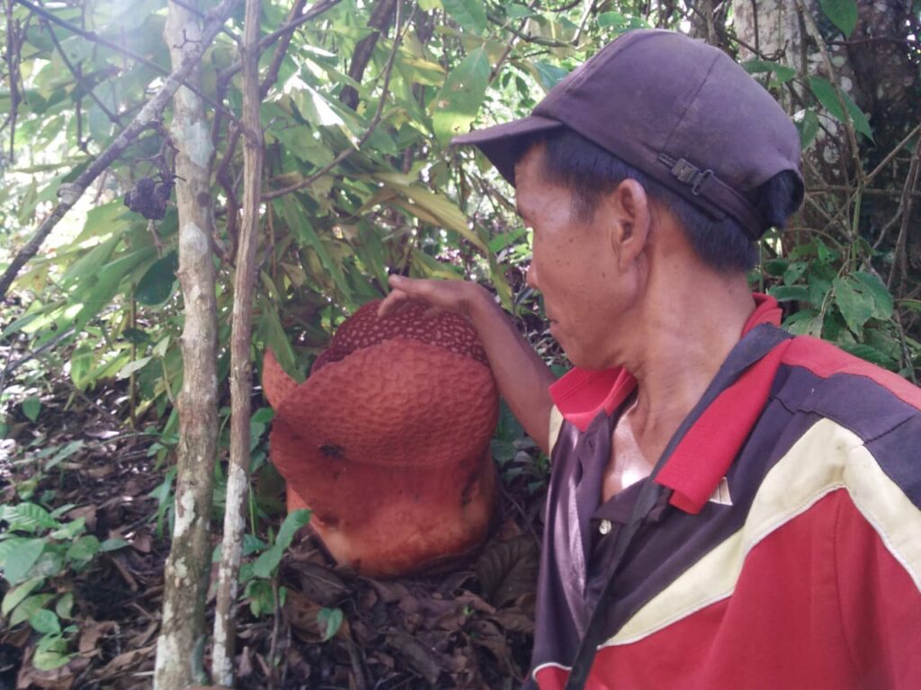 Ketua Komisi II Apresiasi Giat Petani Hutan