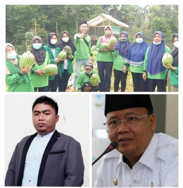 KWT Amanah Panen Semangka Perdana Gubernur Rohidin Sampaikan Apresiasi