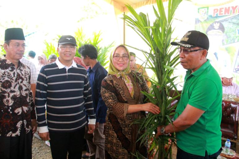 Penyerahan Bibit Pertanian 