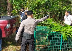 Anggota Polres Seluma Dampingi Tim BKSDA