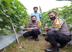 AKBP Anton Setyo Hertanto melalui Kabag Ops AKP Jufri