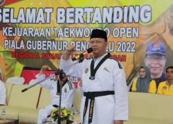 Gubernur Bengkulu Rohidin Mersyah 