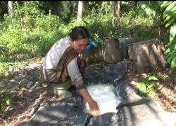 Petani Menjerit Harga Karet di Sungai Gelam Hanya 7.000/Kg