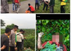 Mayat Terbujur Kaku Diduga Korban Tabrak Lari TKP Zona V WKS Geragai