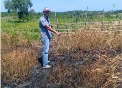 Polres Seluma Temukan Lahan Terbakar Di Desa Lunjul